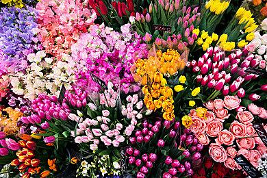 《重生旅人》实体版今年Q4发售 登陆PS4＆5＆NS