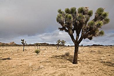 数毛社指出PS5 Pro缺点 CPU孱弱的升级成主要软肋