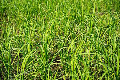 《GT赛车7》举行创意设计大赛 胜者可与歌手飙车