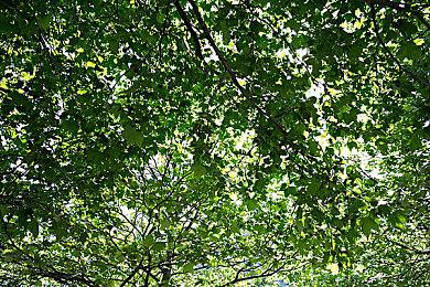 卡牌对战游戏《剑中决》Steam页面上线 发售日期待定